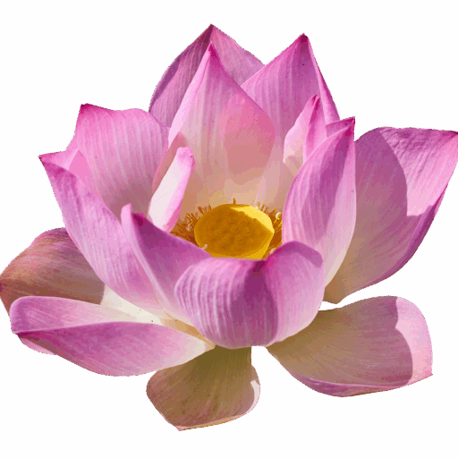 female therapist online
