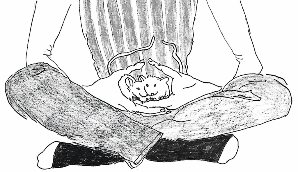 couples therapy Los Angeles couples therapist